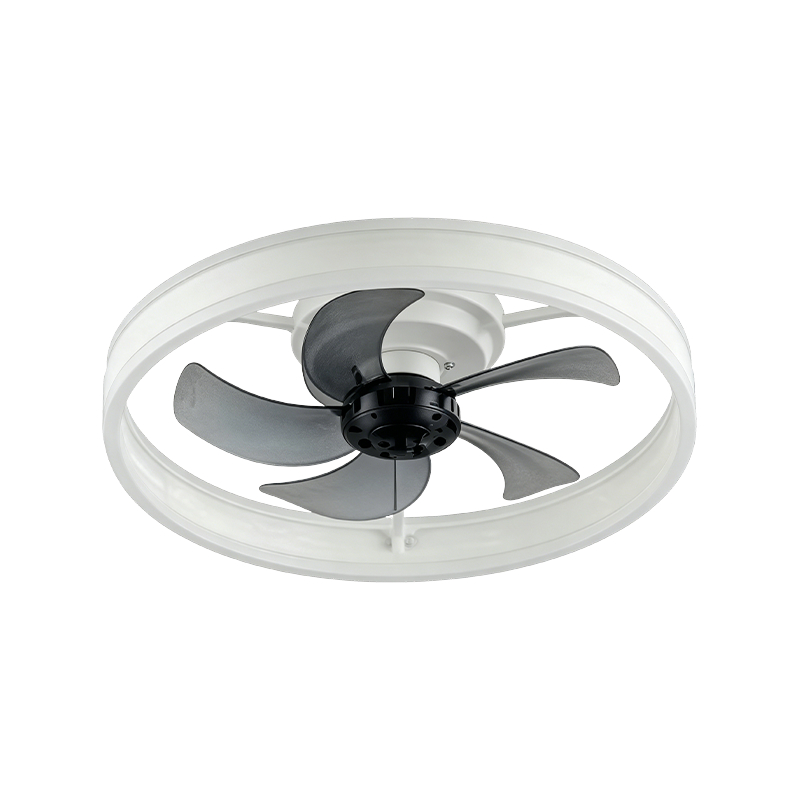 Ventilador de techo con luz Ventilador de techo con luz